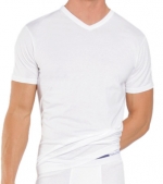 Nautica 3-Pack Cotton V-Neck T-Shirt